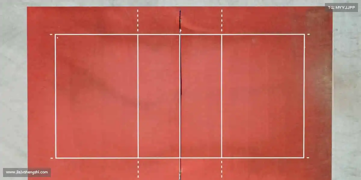 行业领先的理由